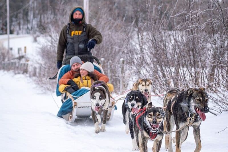 Excursion ultime en traîneau à chiens - Excursion d'une journée au départ d'Ottawa et de Gatineau