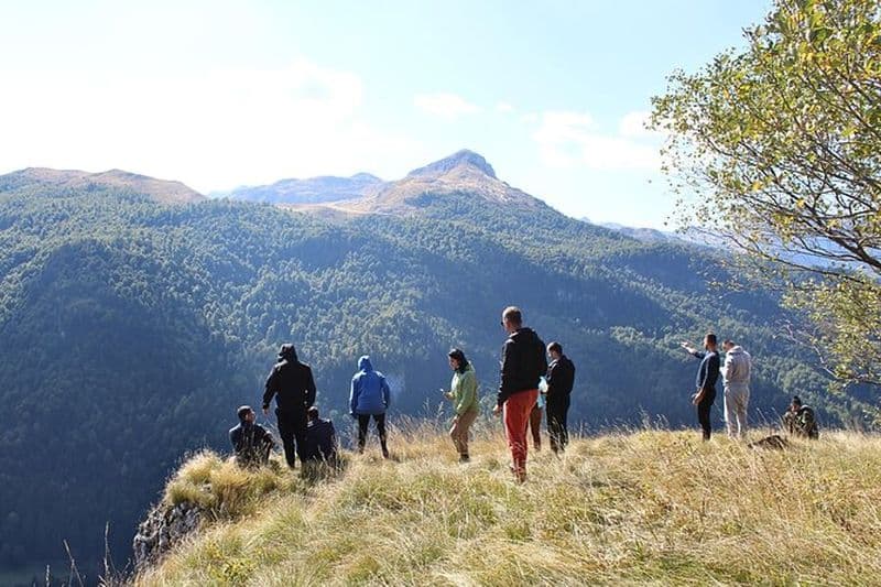 Excursion privée d'une journée complète en safari