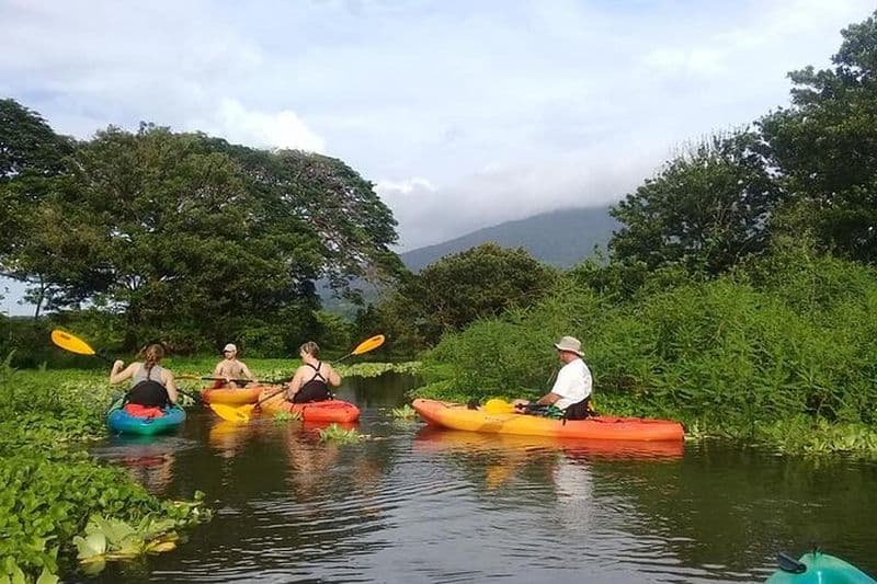 Billet Expérience de kayak privé à Ometepe