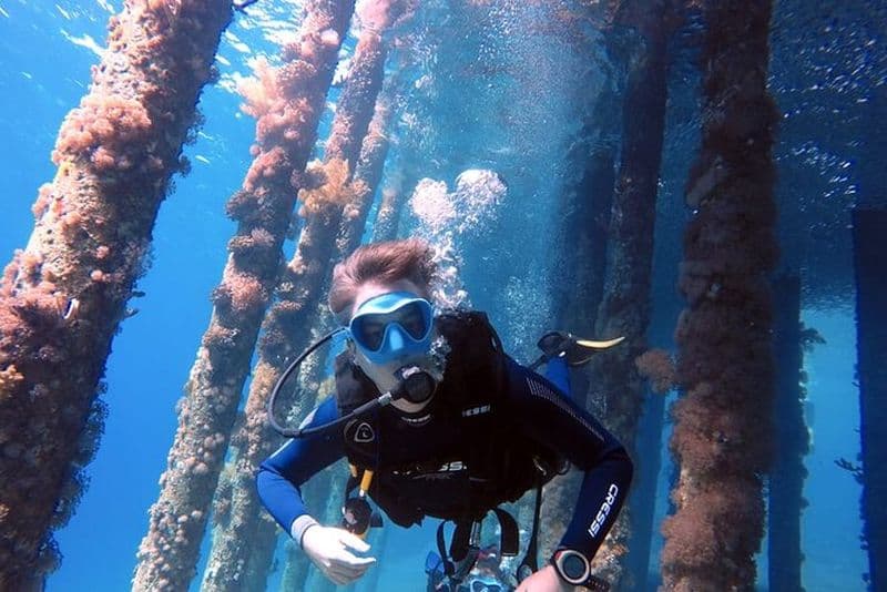 Aventure privée de plongée sous-marine dans la mer Rouge d'Aqaba