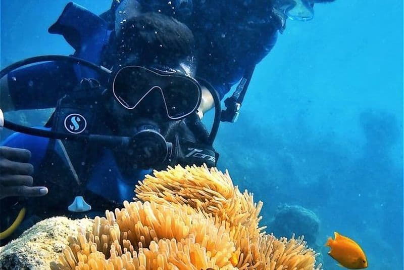 Billet Plongée sous-marine en bateau à Neil Island