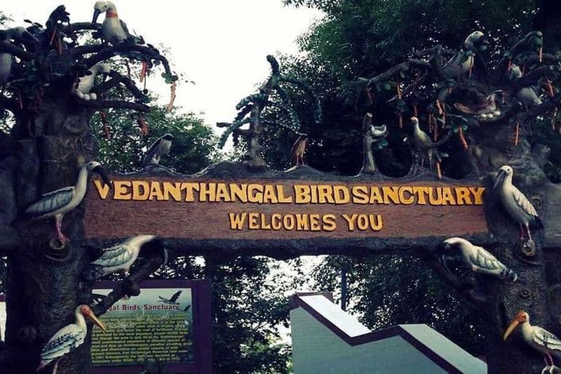 Visite au sanctuaire d'oiseaux de Vedanthangal de Chennai