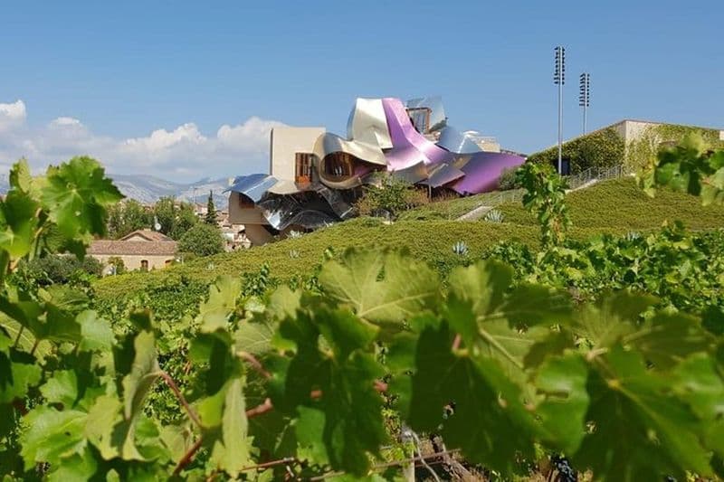 Visite des vins de la Rioja : 2 établissements vinicoles de Pampelune