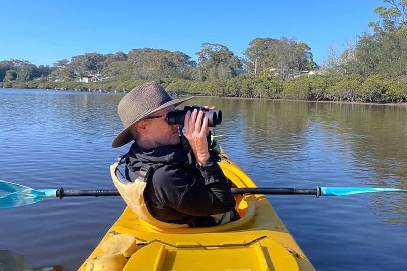 Billet Excursion en kayak d'observation des oiseaux