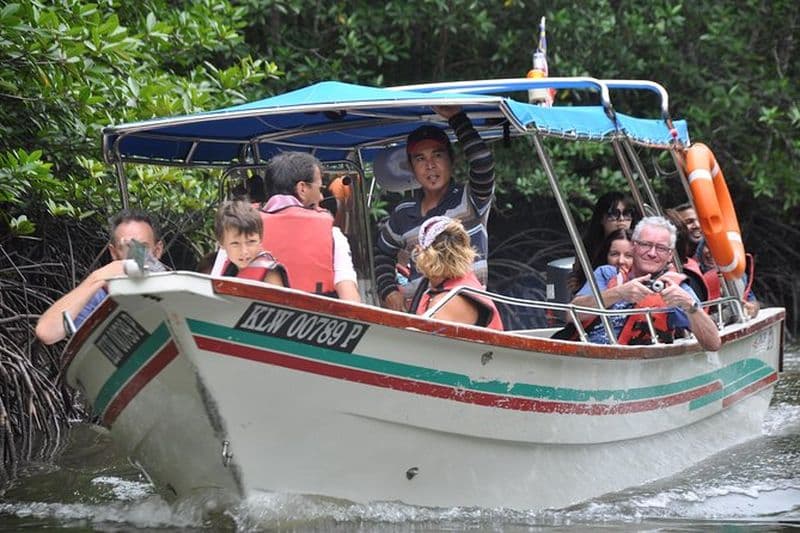 Excursion en bateau safari d'une demi-journée dans les mangroves à Langkawi