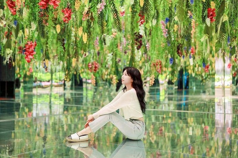 Billet pour le parc à oiseaux Gyeonggi Begonia