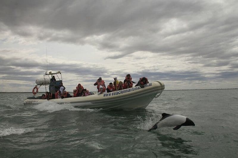 Basse vallée de la rivière Chubut avec observation des dauphins en bateau