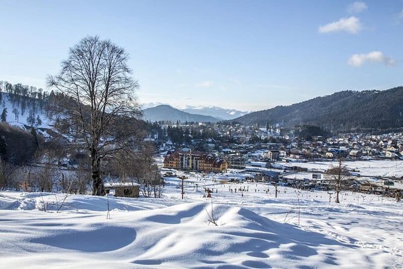 Visite en bus de Borjomi au départ de Tbilissi