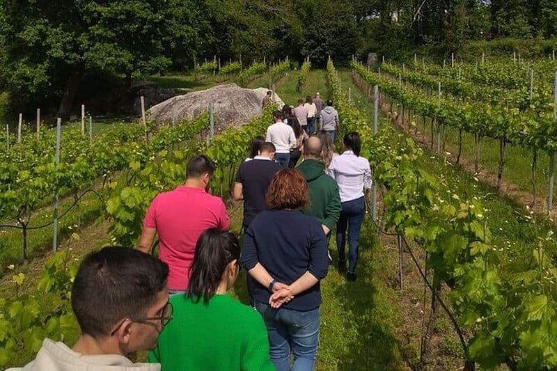 Visite exclusive et dégustation de vin au monastère de Tibães Braga
