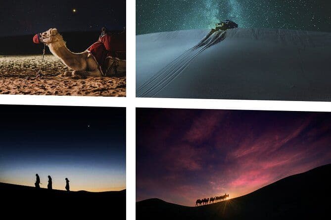 Doha Night Desert Safari Camel Ride Dune Bashing avec transfert
