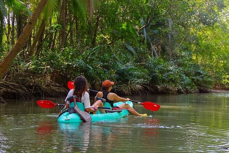 Billet Paddle Through Paradise: Mangrove Kayak Adventure