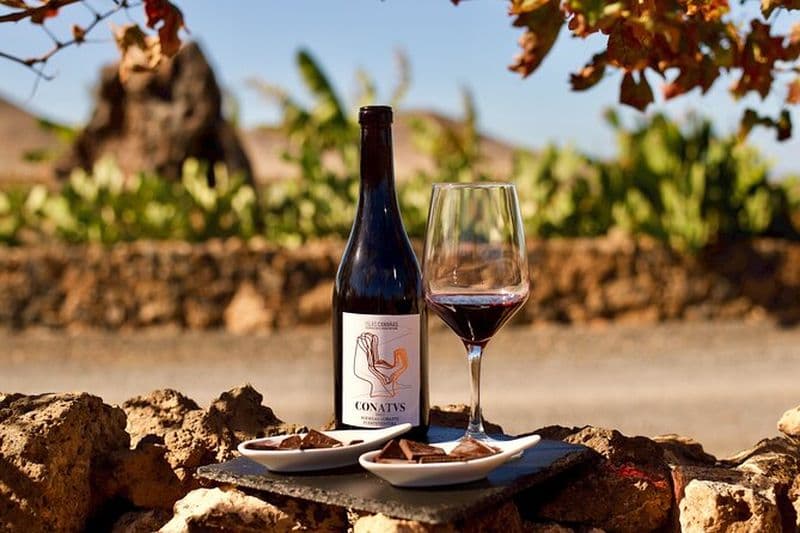 Fuerteventura : Dégustation de vin et évasion El Cotillo après-midi