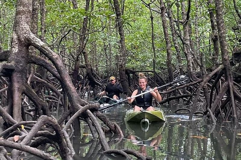 Aventure d'une demi-journée en kayak dans la mangrove du géoparc