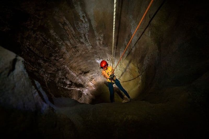 Singapore 3 Park Explorer Pass: Zoo, Merveilles fluviales, Paradis des oiseaux