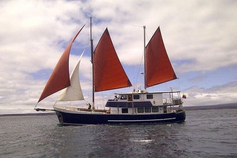 Croisière Samba aux îles Galapagos