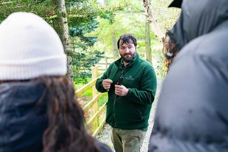 Promenade en quête de nourriture pour adultes et cours de cuisine Bushcraft pour débutants