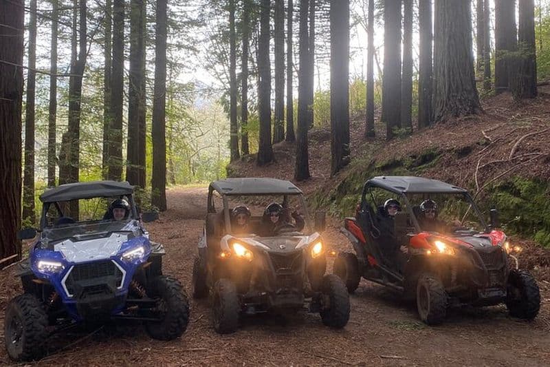 Expérience de conduite hors route en buggy