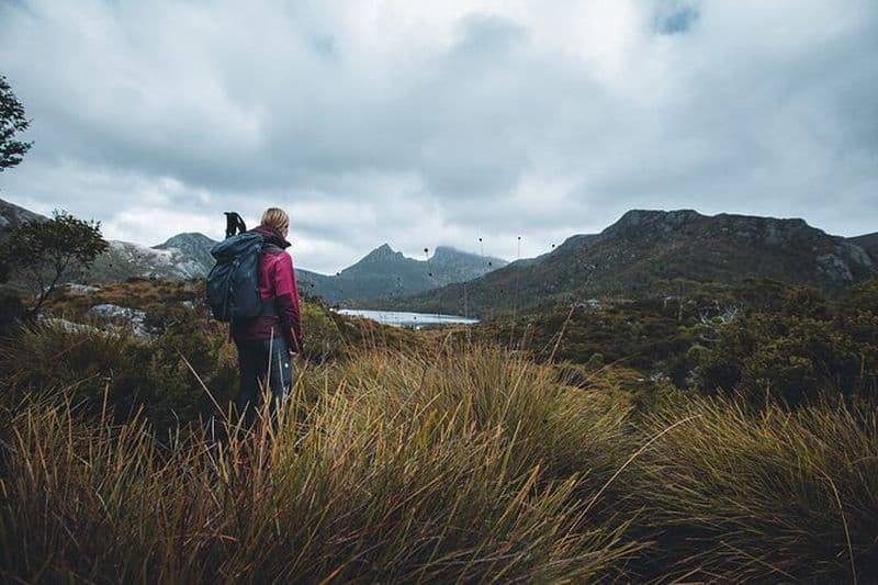 Excursion d'une journée à Cradle Mountain : randonnée guidée à Dove Lake avec déjeuner