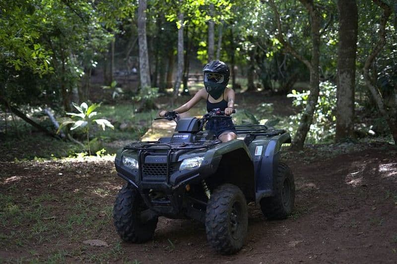 Billet Excursions en VTT – Balade dans la jungle