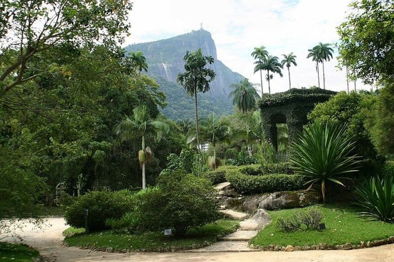 Billet Tour des jardins botaniques de Rio de Janeiro