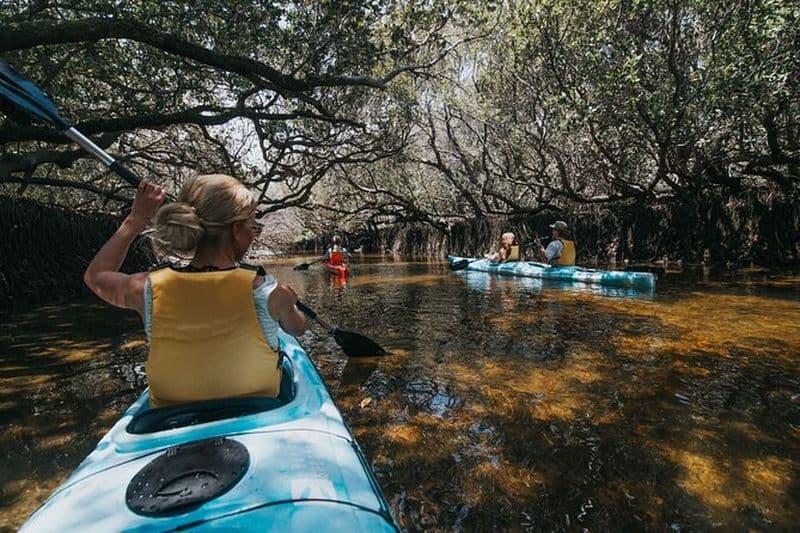 Excursion en kayak dans le sanctuaire des dauphins d'Adélaïde