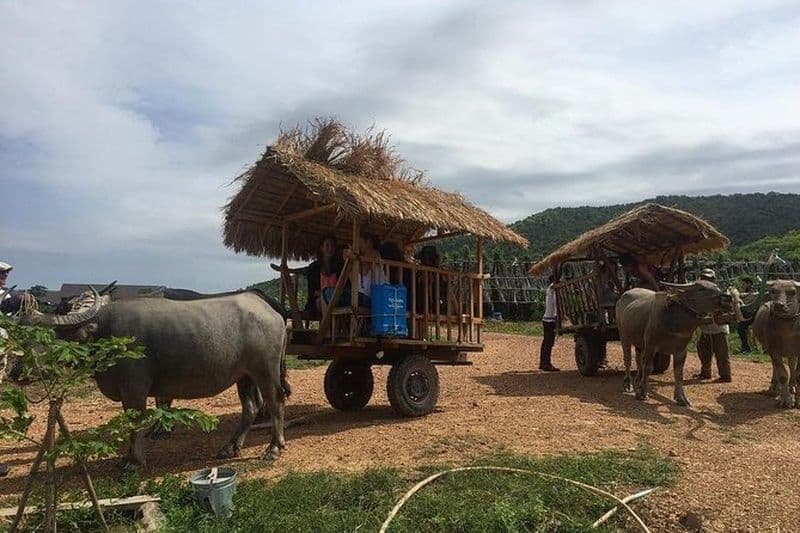 Journée complète à Kampot et Kep avec une visite locale de Tuk Tuk