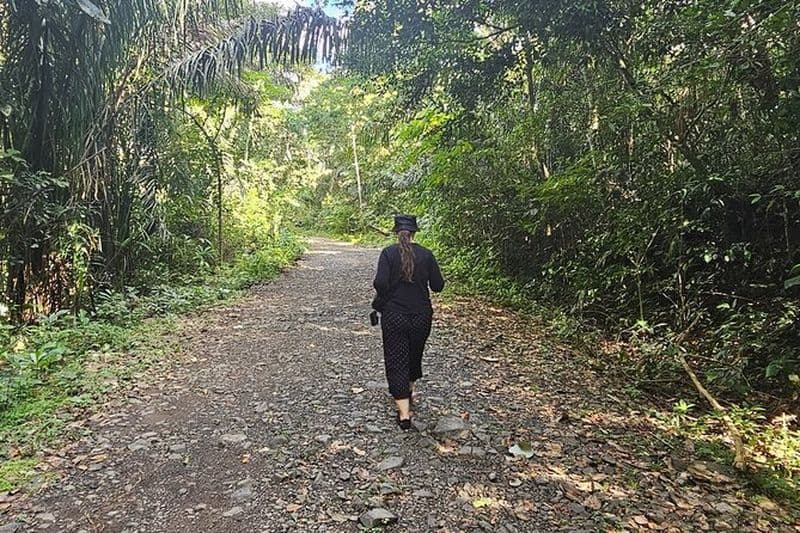 Gamboa Rainforest : Randonnée, tyrolienne et visite en bateau de singe