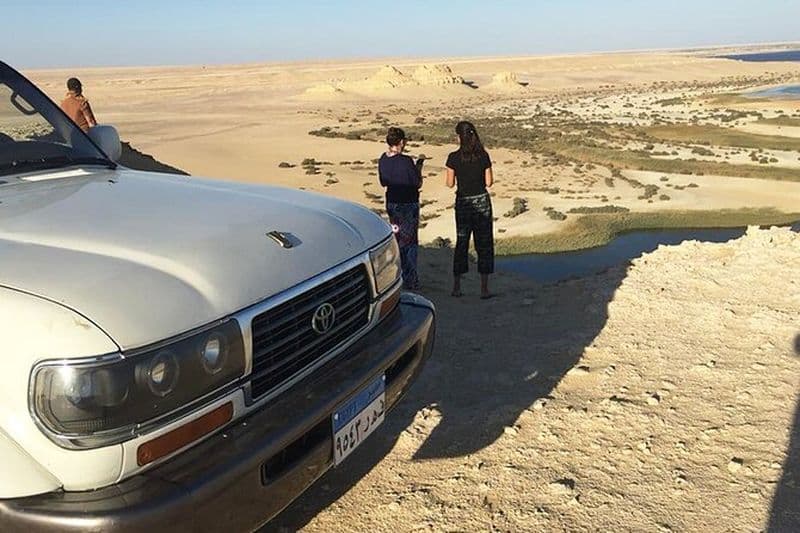 Du Caire - Excursion d'une journée à EL-Fayoum Observation des oiseaux