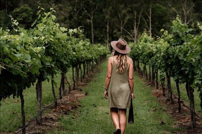 Visite des vignobles de luxe de Mount Tamborine aux pieds nus au départ de Brisbane