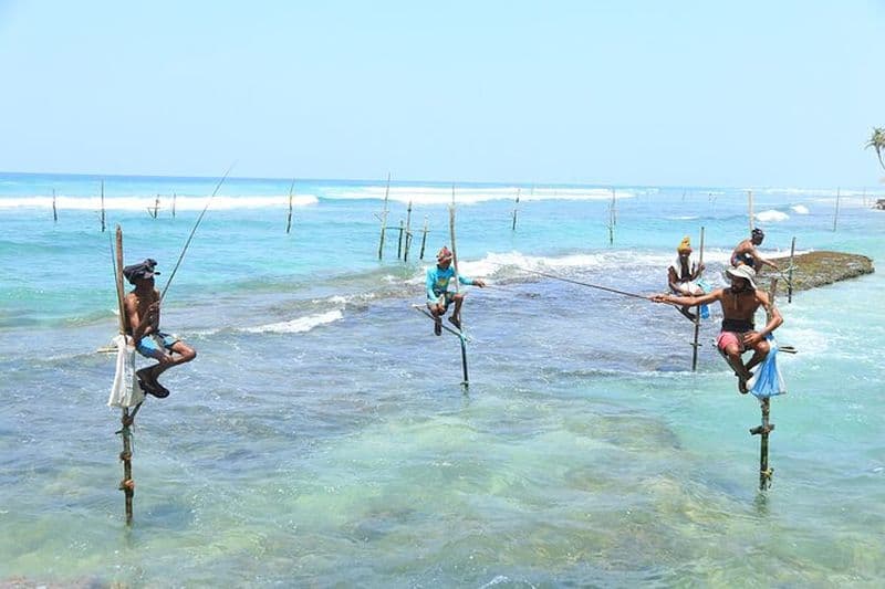 Expérience de pêche sur échasses à Ahangama