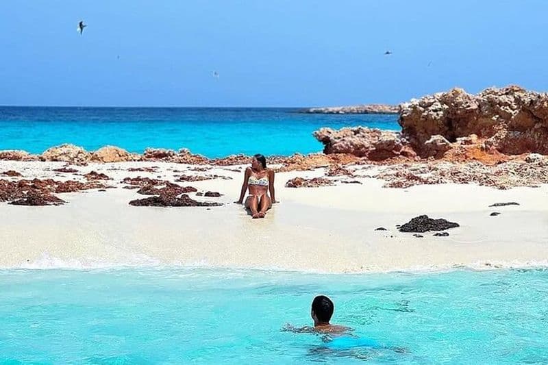 Visite des îles Daymaniyat en apnée – Nager avec les tortues et le kayak