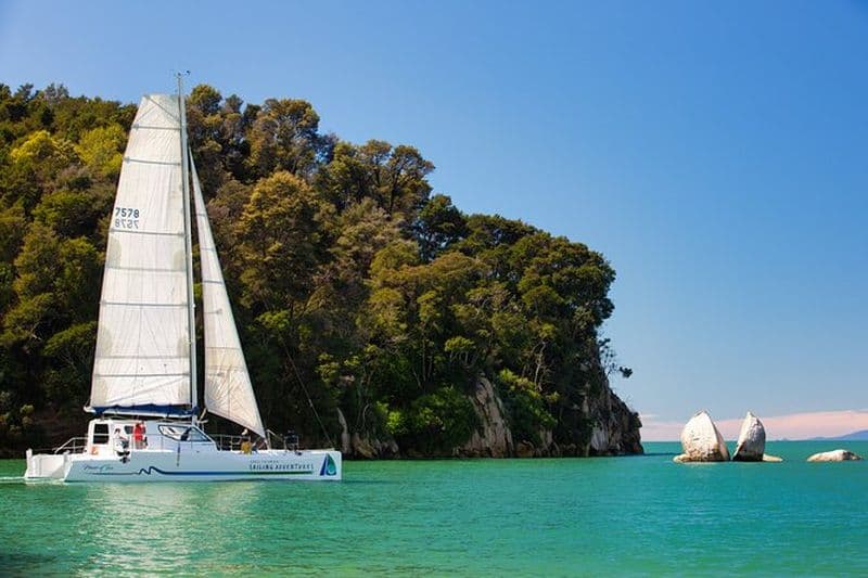 Visite à la voile, aux phoques et à pied à Abel Tasman