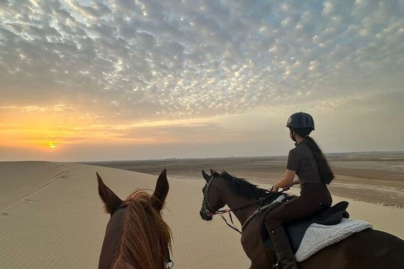 Aventure d'équitation arabe à Doha dans le désert avec transferts