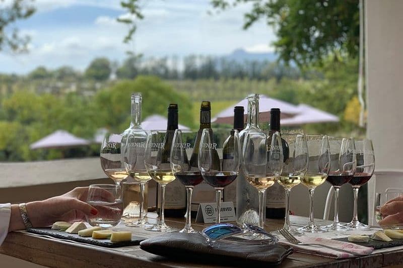 Excursion d'une journée au chocolat, au fromage, à l'olive et au vin de Stellenbosch