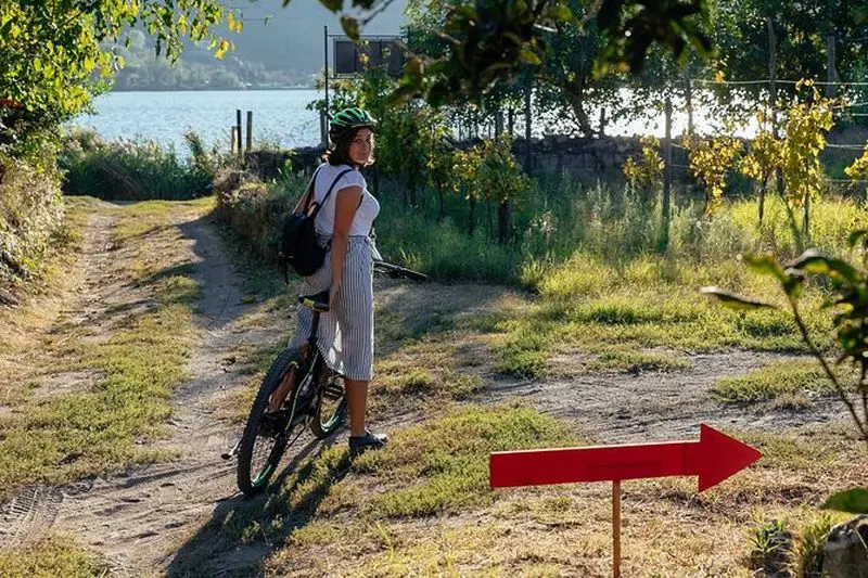 Balade pittoresque en vélo électrique à Naples dans un vignoble local avec repas