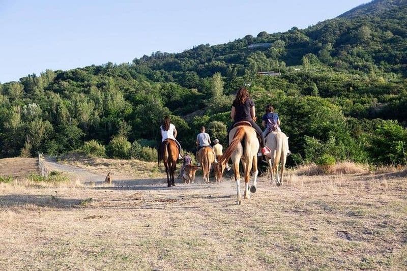 Visite privée des fouilles de Pompéi avec balade à cheval et déjeuner