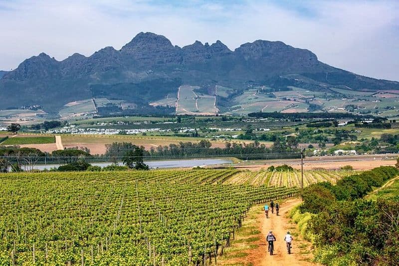 Billet Excursion d'une demi-journée en VTT à Stellenbosch Winelands