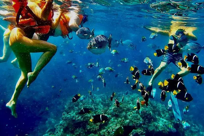 Expérience de paddleboard et de plongée en apnée à Los Arcos