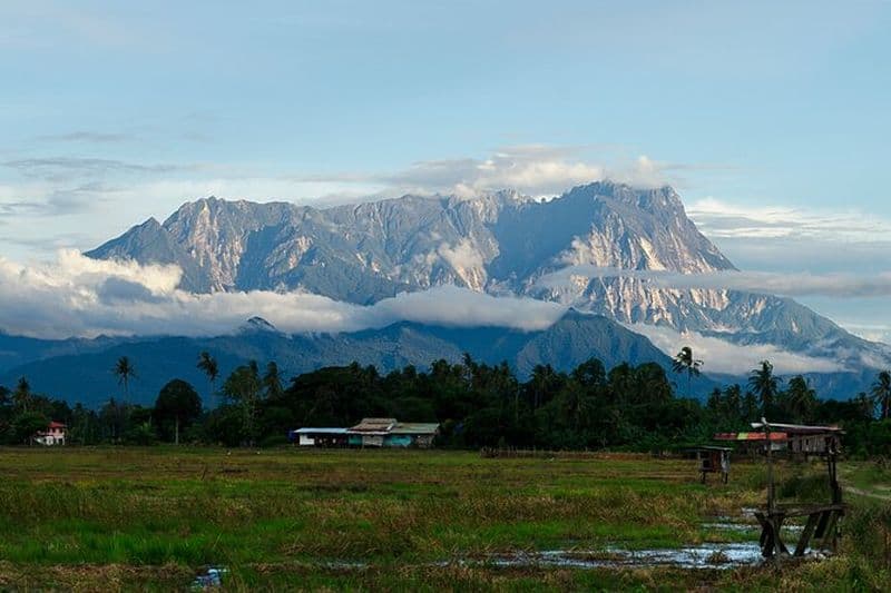 Excursion privée d'une journée de Kota Kinabalu à Kundasang et Poring Hot SPA