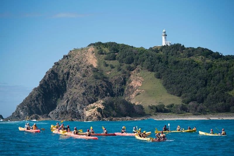 Billet Kayak avec dauphins à Byron Bay Visite guidée