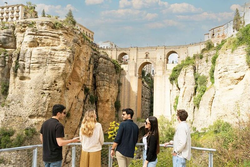 De Malaga: Ronda, dégustation de vin et d'huile d'olive Premium Petit groupe