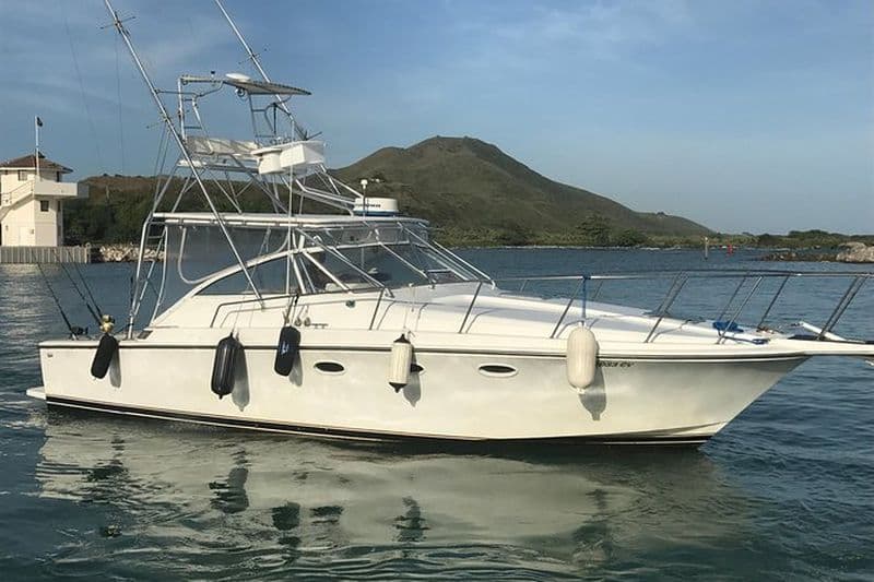 Excursion privée de pêche au gros d'une demi-journée