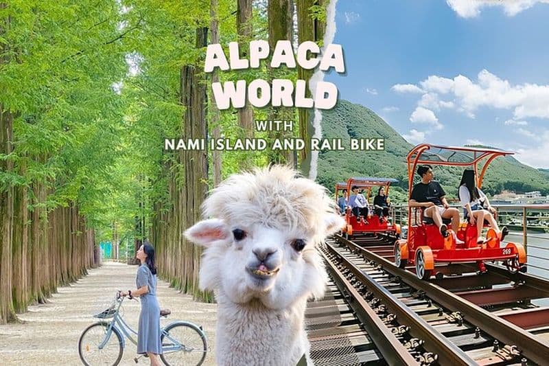 Alpaca World et l'île de Nami avec Gangchon Rail Bike Tour