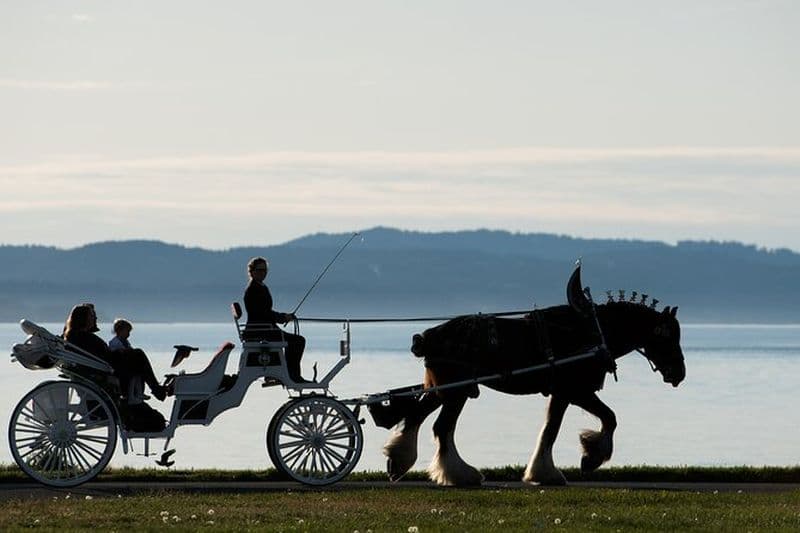 Visite en calèche tirée par des chevaux de mer Salish de Victoria