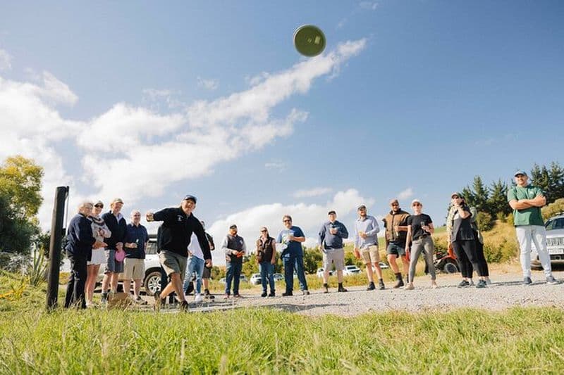 Ridgeway Disk Golf Robot Shoot Axe Throw