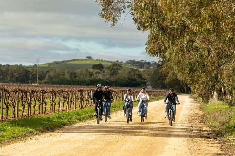 Découvrez la vallée de Barossa en vélo électrique