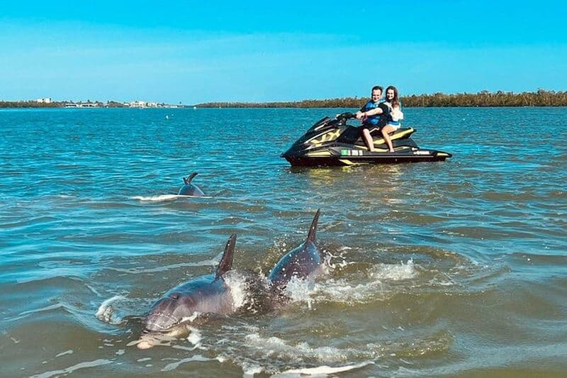 Excursion écologique en jet ski aux dix mille îles - Marco Island