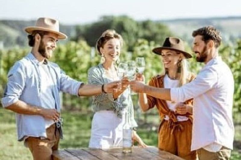 Dégustation de vins de luxe au mont Tamborine avec déjeuner à deux plats