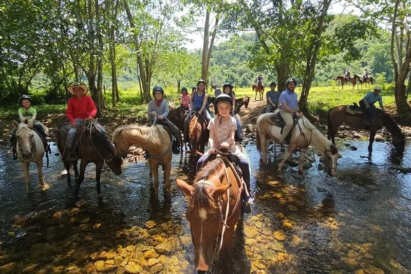 Excursion croisière - Promenade à cheval dans la jungle au Belize