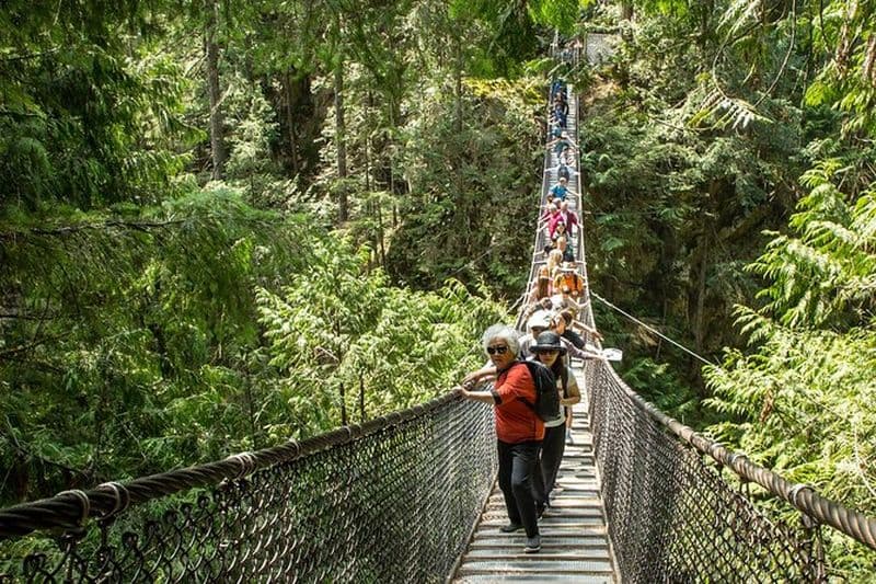 Promenade dans le parc Lynn Canyon